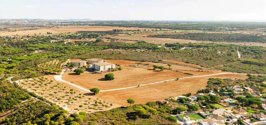 Commercial Plots