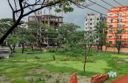 Plot in G Block