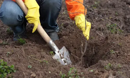 Soil test & Ground evaluation