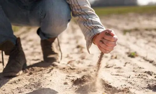 Soil test and land survey